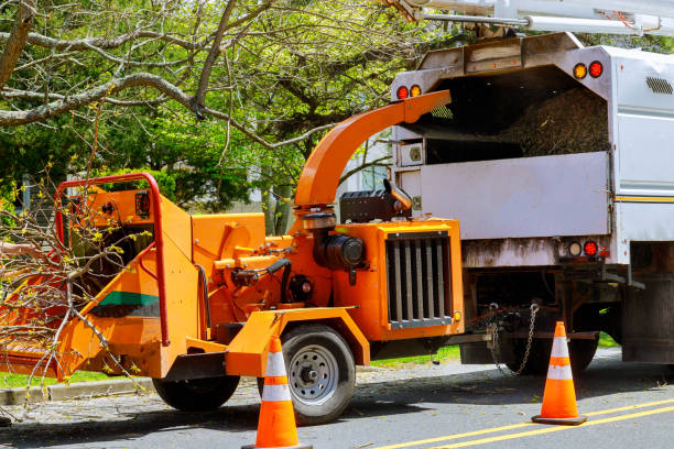  Butler, GA Tree Service Pros